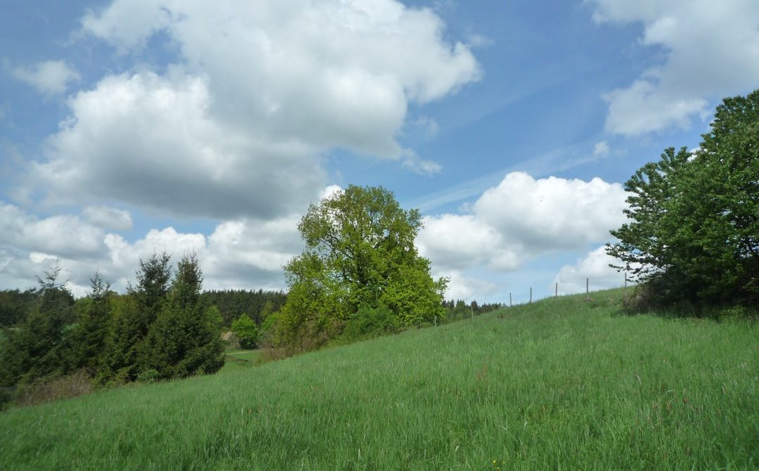 Grundstück in traumhafter Waldrandlage in Nittendorf